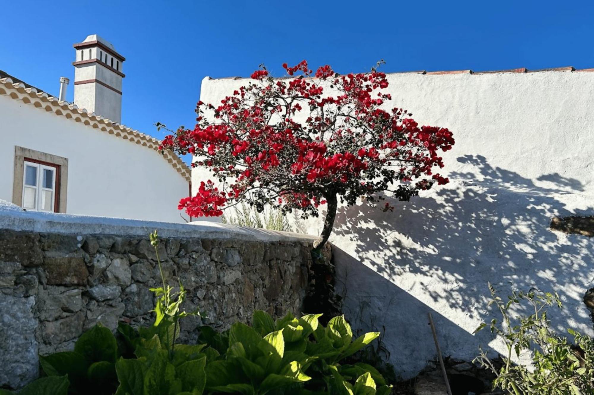 Casas Da Tia Alice Casas De Campo Encantadoras Mafra Exterior foto