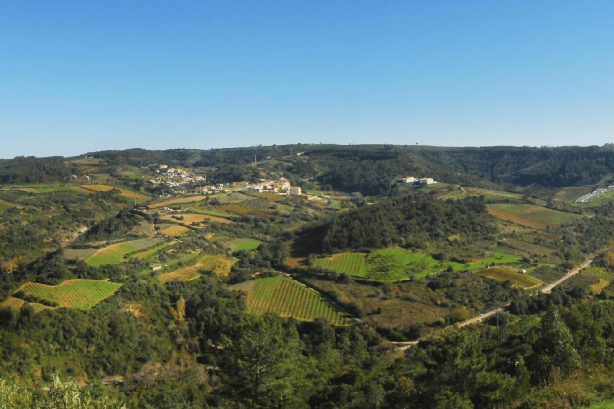 Casas Da Tia Alice Casas De Campo Encantadoras Mafra Exterior foto